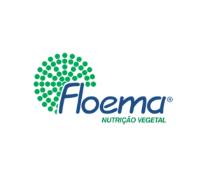 Floema