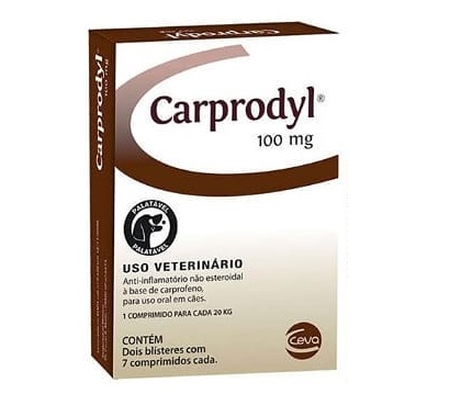 CARPRODYL 100MG
