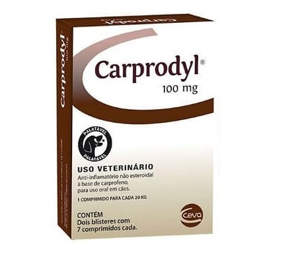 CARPRODYL 100MG