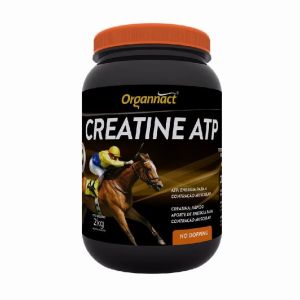 CREATINE ATP 2KG