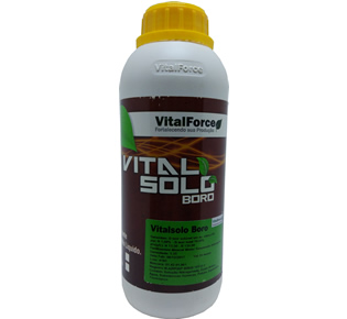 VITAL BORO SOLO 1 LT (LIVRE VENDA)