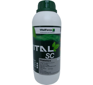 VITAL ZINCO FOLHA 1 LT