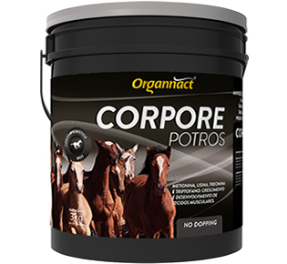 CORPORE POTROS 3KG S/B