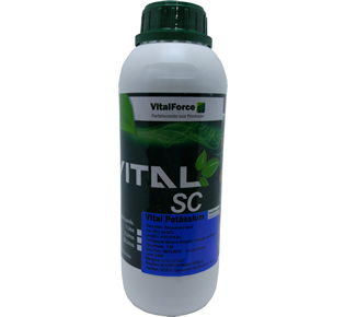 VITAL POTASSIUM 1 LT (LIVRE VENDA)